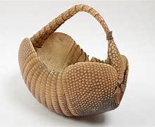 Image result for Armadillo Shell