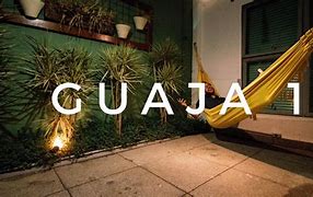 Image result for guaja