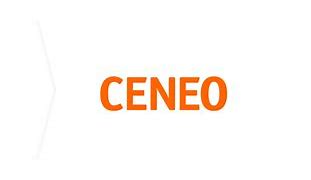 Image result for Ceneo Cokpany Analunmces New Capability