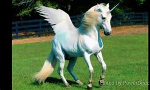 Image result for Fake Phone Unicorn