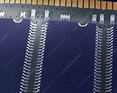 Image result for Memory Chip Labeled