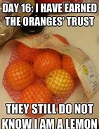 Image result for Adult Fruit Memes