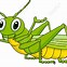 Image result for Cricket Pictures Clip Art