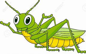 Image result for Cricket Insect Animation