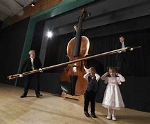 Image result for World's Biggest Violin