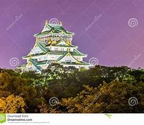 Image result for Osaka Castle Night