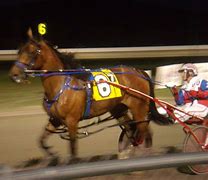 Image result for Harness Racing Front View