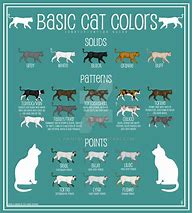 Image result for Cat Tail Pattern