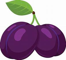 clipart pictures best dried plum illustrations royalty free vector clipart pictures best dried plum illustrations royalty free vector