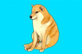Image result for Hindu Cheems Doge