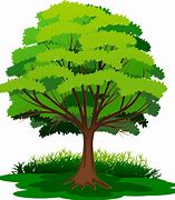 Image result for Grass Tree Clip Art