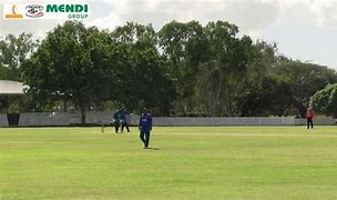 Image result for Wildcatz Indoor Cricket