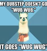 Image result for Wub Wub Dubstep Meme