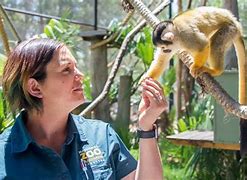 Image result for Zookeeper Zoo Animals