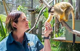 Image result for Zookeeper Phoenix Zoo
