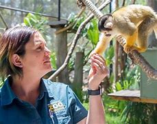 Image result for Zookeeper Picture