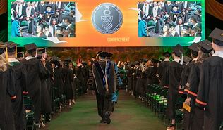 Image result for University of Miami Graduation