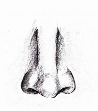 Image result for Drawn Nose