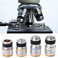 Image result for 100X Microscope Lens