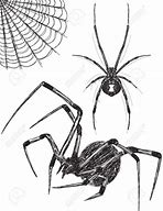 Image result for Black Widow Spider Drawing