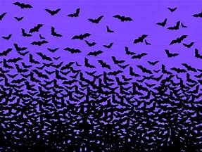 Image result for Purple Bat Background