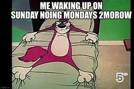 Image result for Angry Cat On Bed Meme