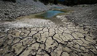 Image result for Drought
