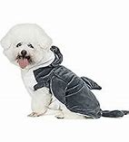 Image result for Dog with Croc On Head Meme