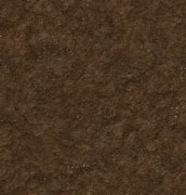 Image result for Muddy Ground Texture