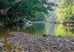 Image result for Malaysia River