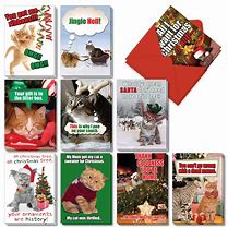 Image result for box cats holiday card target