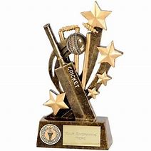 Image result for Acrylic Cricket Trophy