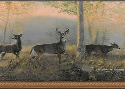 Image result for Forest Theme Wallpaper Borders Prepasted