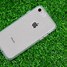 Image result for iPhone 8 Plus Clear Protective Case Speck