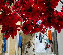 Image result for Chora Ios Island