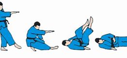 Image result for Judo Ukemi