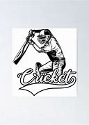 Image result for Picture of Cricket Vinal