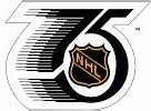 Image result for National Hockey League