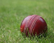 Image result for Back Yard Cricket Ball