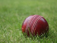 Image result for Flash Cricket Ball