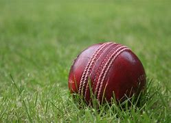 Image result for Cricket Team Game