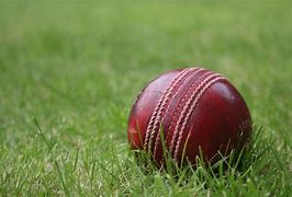 Image result for In Cutter Ball Cricket