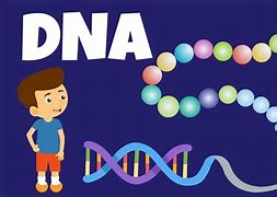 Image result for DNA and Genes for Kids