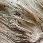 Image result for Wood Grain Textures Vector Image