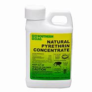 Image result for Pyrethrin
