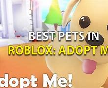 Image result for The Coolest Roblox Pets