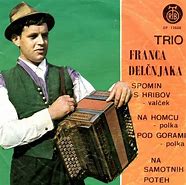 Image result for Svirac Harmonike