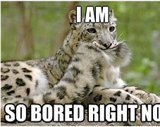 Image result for Funny Memes About Being Bored