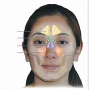 Image result for PV Diagram Work