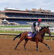 Image result for Crowded Breeders' Cup